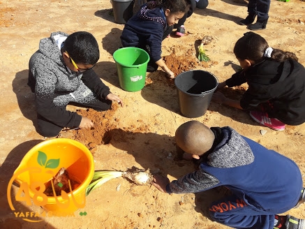 zr3 7san 3arafa (15).jpg